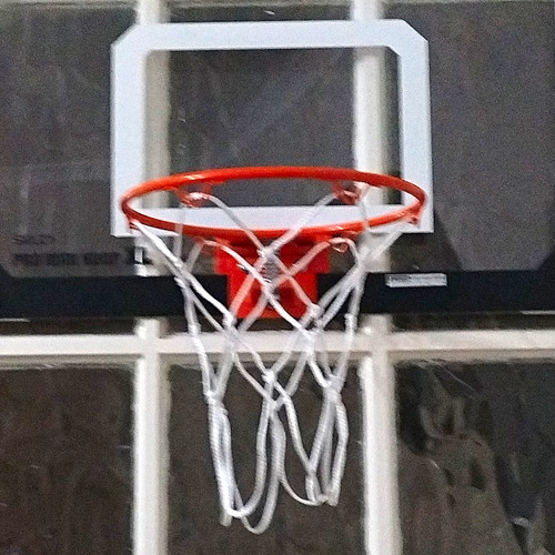Sklz pro mini hoop - sklz,
